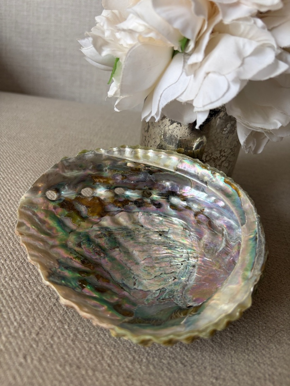 Iridescent Abalone Shell Decorative Dish - mother of pearl
